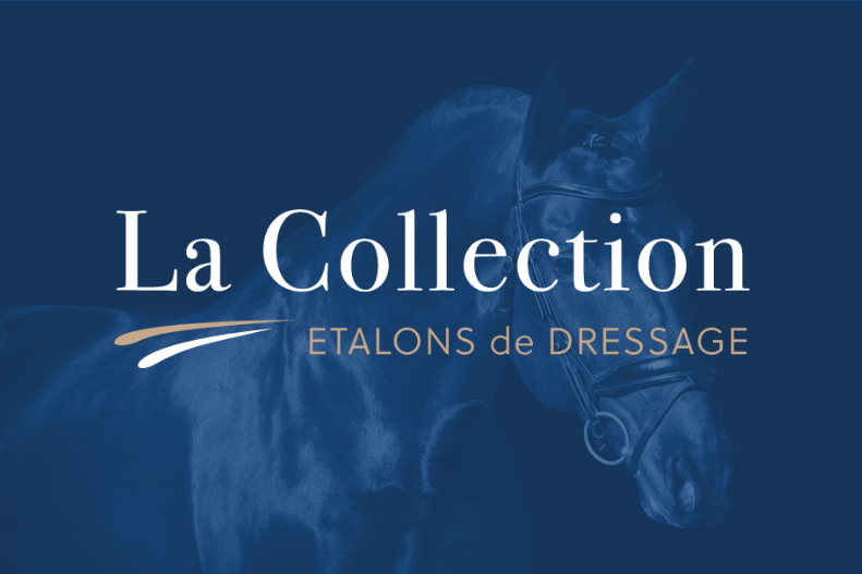 
								La Collection Dressage
								